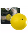 Maximus Power Play Ball Maximus Power Play Ball