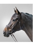 STAR Bridle Lifestyle