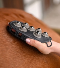 Horse Horse