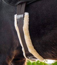 Horse Horse