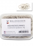 WALDHAUSEN